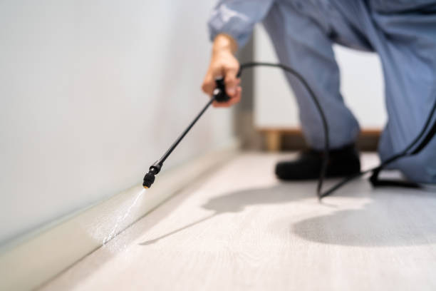 Licensed Termite Control service in McAlmont, AR - Show Me Pest Control